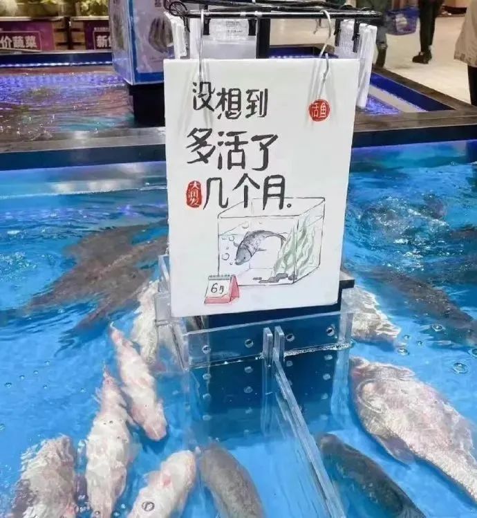 大润发“菜厂黑话”,道出打工人的酸甜苦辣休闲区蓝鸢梦想 - Www.slyday.coM 大润发“菜厂黑话”,道出打工人的酸甜苦辣休闲区蓝鸢梦想 - Www.slyday.coM