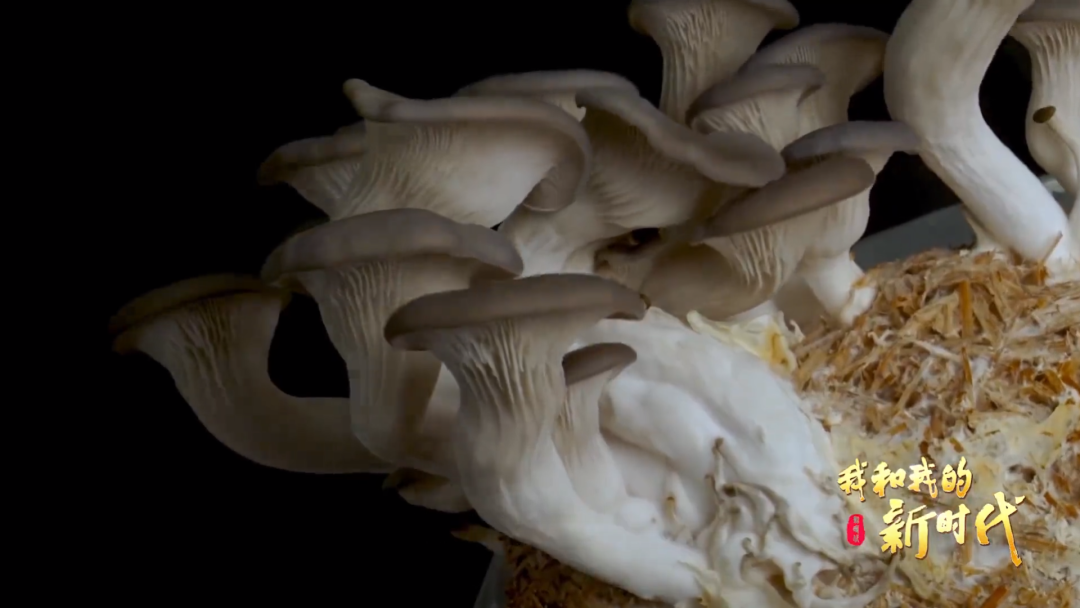 系列微纪录片休闲区蓝鸢梦想 - Www.slyday.coM 系列微纪录片休闲区蓝鸢梦想 - Www.slyday.coM