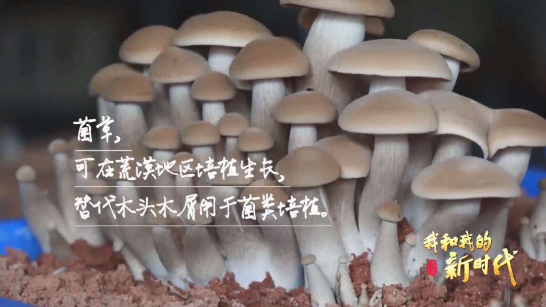 系列微纪录片休闲区蓝鸢梦想 - Www.slyday.coM 系列微纪录片休闲区蓝鸢梦想 - Www.slyday.coM