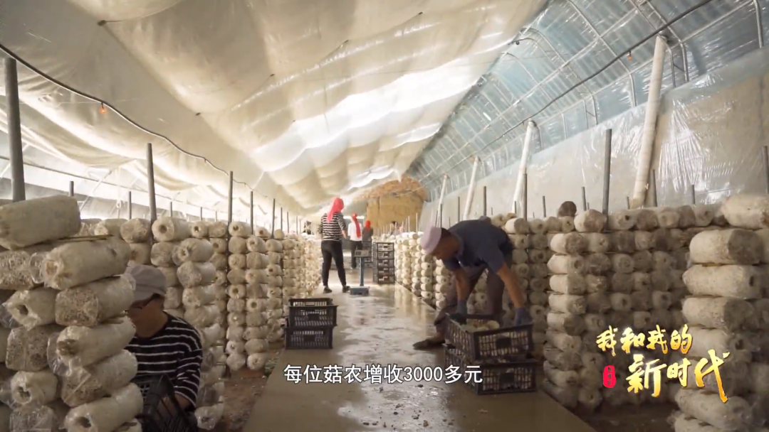 系列微纪录片休闲区蓝鸢梦想 - Www.slyday.coM 系列微纪录片休闲区蓝鸢梦想 - Www.slyday.coM