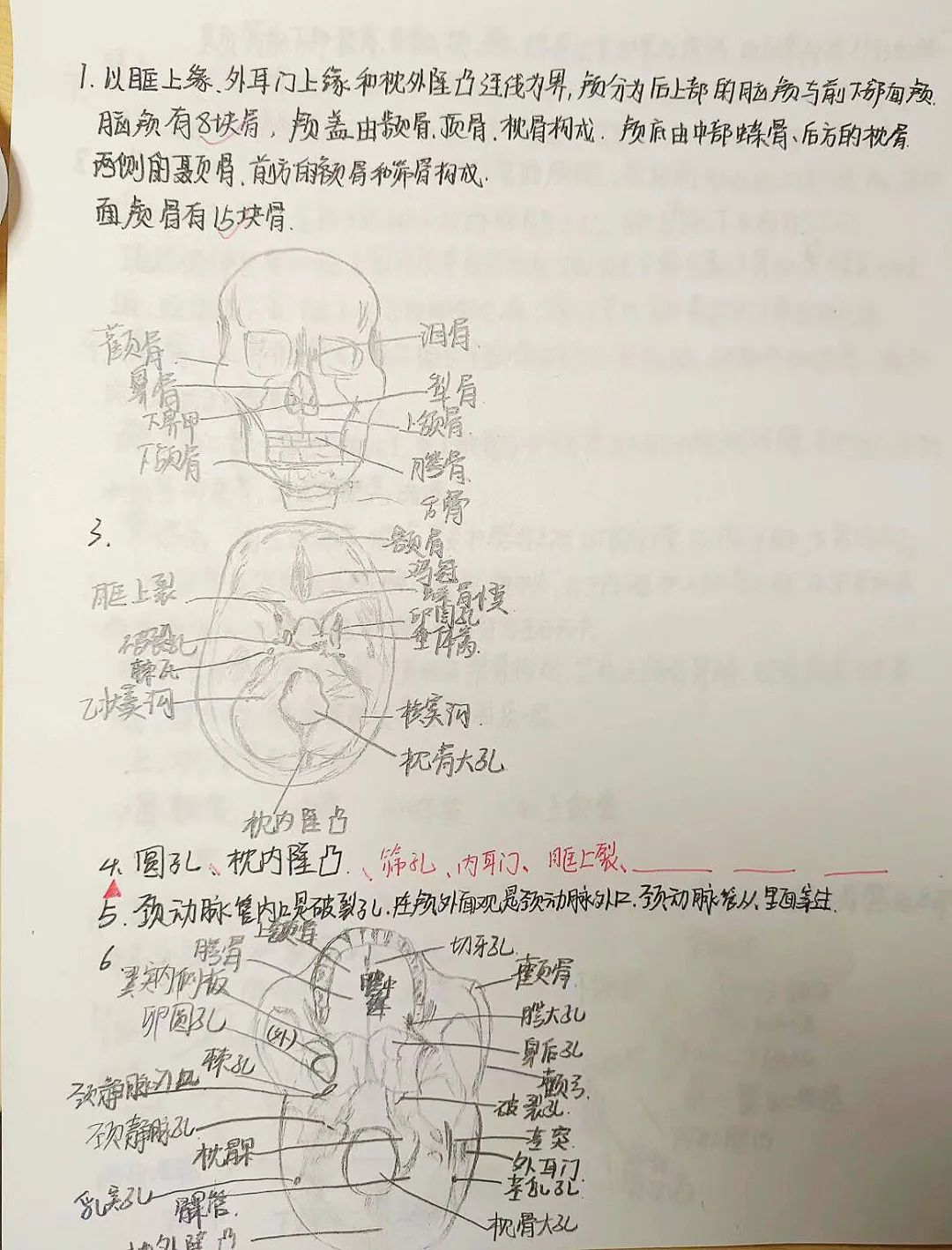 揭秘!医学生的笔记原来还可以这么记!休闲区蓝鸢梦想 - Www.slyday.coM 揭秘!医学生的笔记原来还可以这么记!休闲区蓝鸢梦想 - Www.slyday.coM