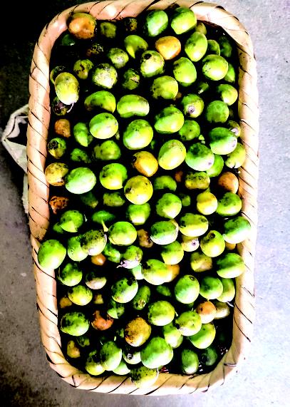 舌尖上的独家记忆休闲区蓝鸢梦想 - Www.slyday.coM 舌尖上的独家记忆休闲区蓝鸢梦想 - Www.slyday.coM