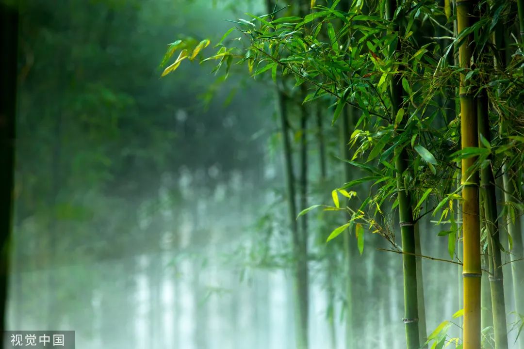 感到迷惘的时刻,不妨读读这六首诗词吧休闲区蓝鸢梦想 - Www.slyday.coM 感到迷惘的时刻,不妨读读这六首诗词吧休闲区蓝鸢梦想 - Www.slyday.coM