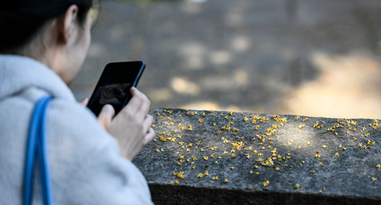 【关注】历史罕见!明天,杭州人都在等的它要来了!但这件事得抓紧……休闲区蓝鸢梦想 - Www.slyday.coM 【关注】历史罕见!明天,杭州人都在等的它要来了!但这件事得抓紧……休闲区蓝鸢梦想 - Www.slyday.coM
