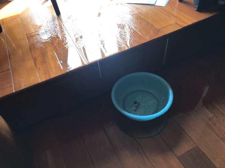 杭州价值千万学区房起火,祸起租客带电瓶车电池进屋,房东没等来赔偿,反被租客告上法庭休闲区蓝鸢梦想 - Www.slyday.coM 杭州价值千万学区房起火,祸起租客带电瓶车电池进屋,房东没等来赔偿,反被租客告上法庭休闲区蓝鸢梦想 - Www.slyday.coM