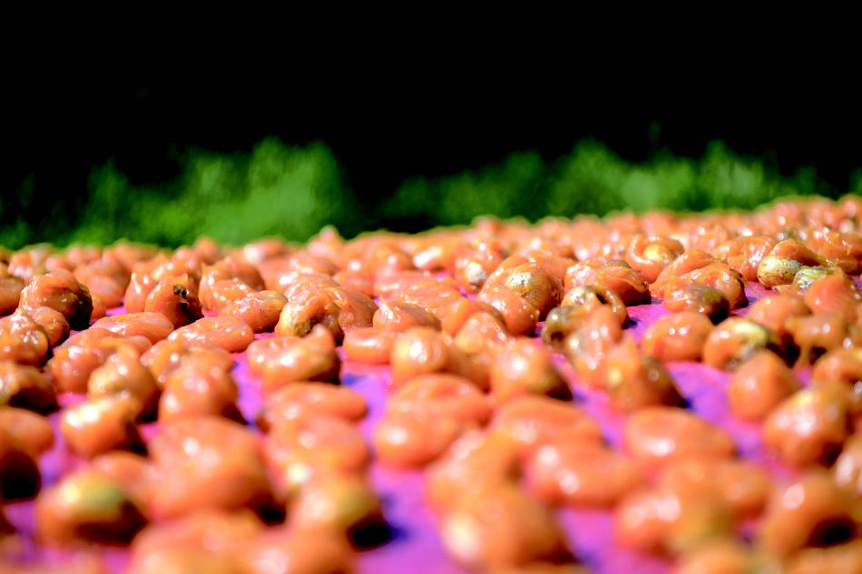 舌尖上的独家记忆休闲区蓝鸢梦想 - Www.slyday.coM 舌尖上的独家记忆休闲区蓝鸢梦想 - Www.slyday.coM