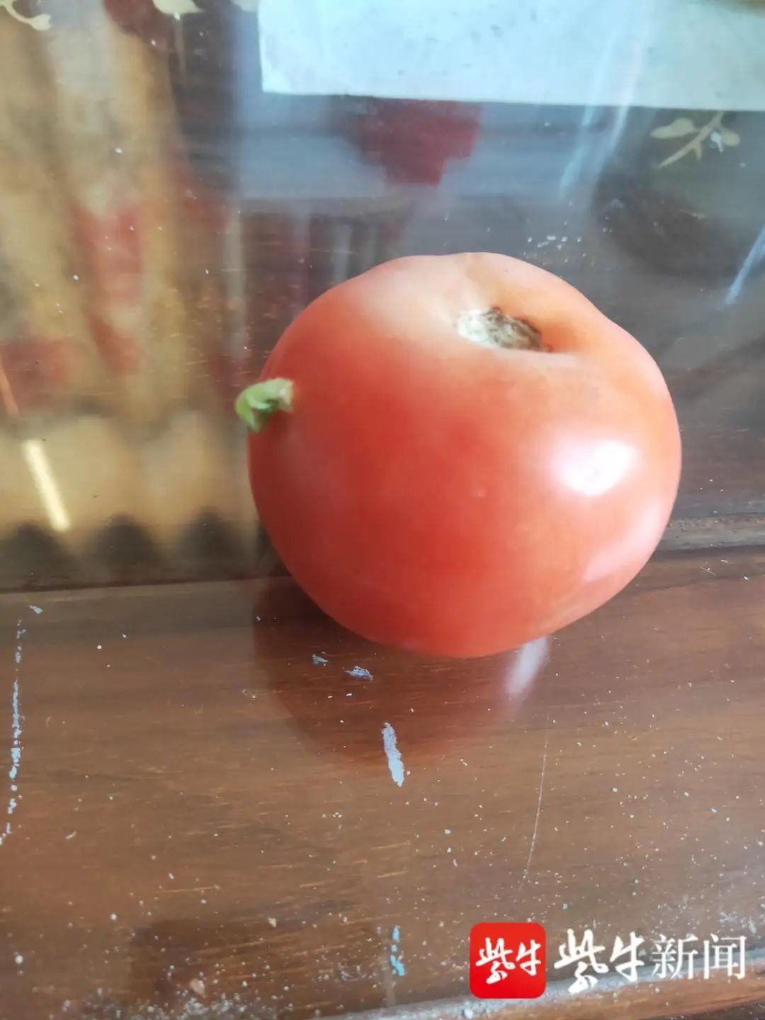 中国试管婴儿哪里最好（发芽的西红柿能吃吗？）