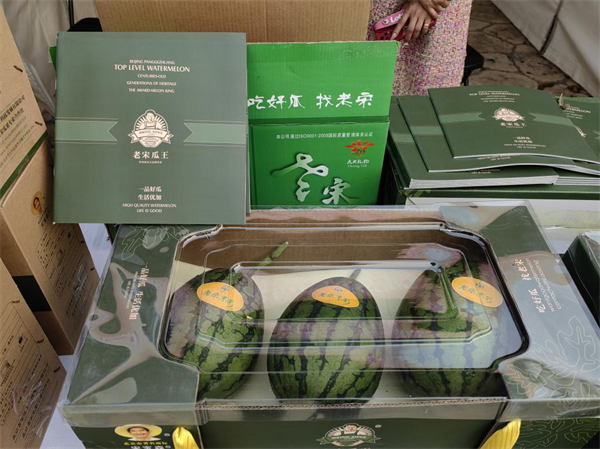 第33届北京农民艺术节“乡村大舞台”大兴区预赛暨专场展演成功举办休闲区蓝鸢梦想 - Www.slyday.coM 第33届北京农民艺术节“乡村大舞台”大兴区预赛暨专场展演成功举办休闲区蓝鸢梦想 - Www.slyday.coM