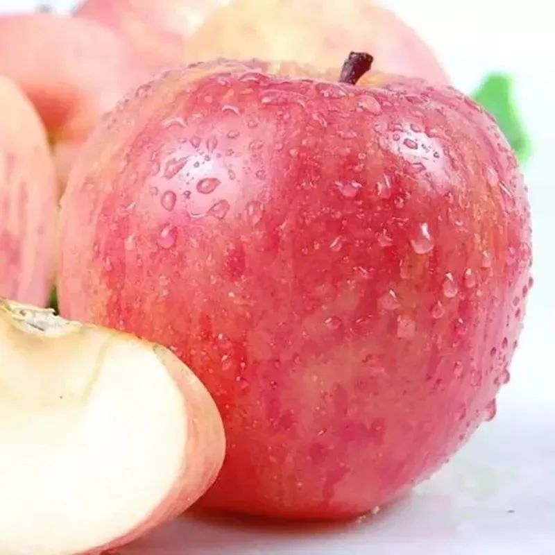 陕西人的秋天,到底有多少“诱惑”休闲区蓝鸢梦想 - Www.slyday.coM 陕西人的秋天,到底有多少“诱惑”休闲区蓝鸢梦想 - Www.slyday.coM