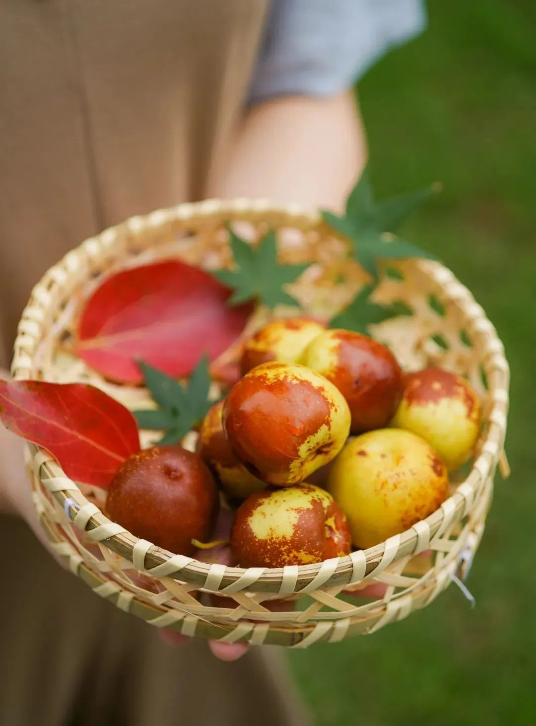 陕西人的秋天,到底有多少“诱惑”休闲区蓝鸢梦想 - Www.slyday.coM 陕西人的秋天,到底有多少“诱惑”休闲区蓝鸢梦想 - Www.slyday.coM