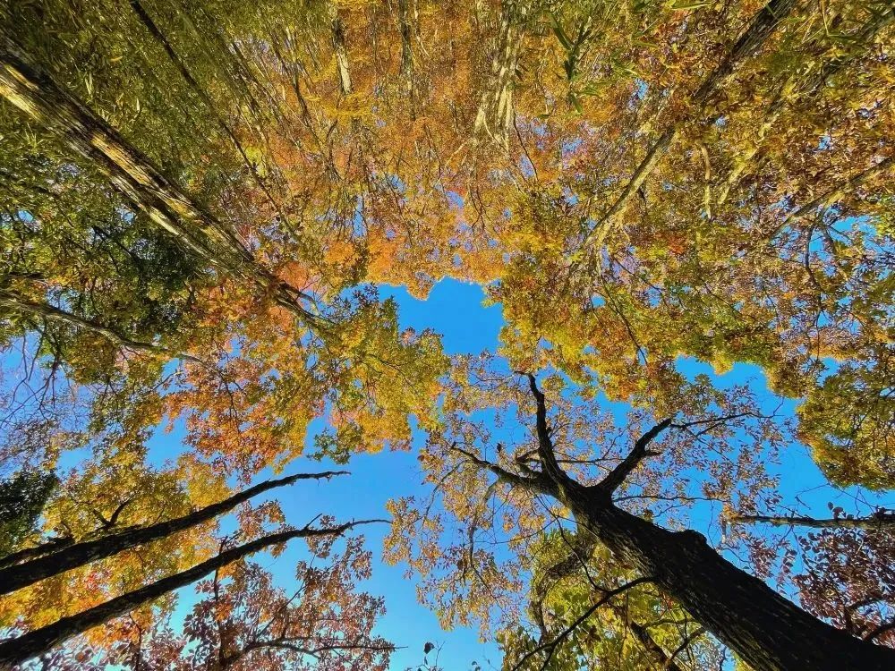 就在明天!陕西人的朋友圈将被TA刷屏休闲区蓝鸢梦想 - Www.slyday.coM 就在明天!陕西人的朋友圈将被TA刷屏休闲区蓝鸢梦想 - Www.slyday.coM