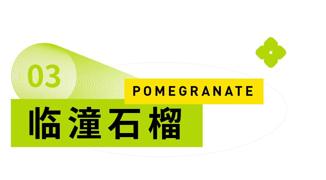 陕西人的秋天,到底有多少“诱惑”休闲区蓝鸢梦想 - Www.slyday.coM 陕西人的秋天,到底有多少“诱惑”休闲区蓝鸢梦想 - Www.slyday.coM