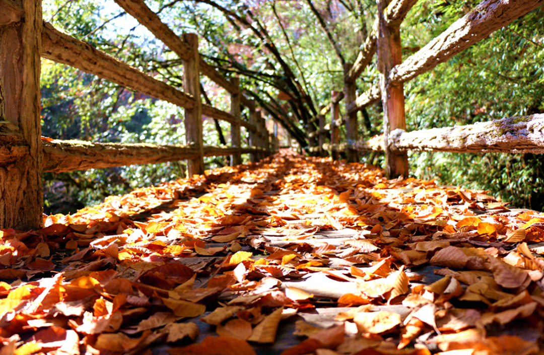 就在明天!陕西人的朋友圈将被TA刷屏休闲区蓝鸢梦想 - Www.slyday.coM 就在明天!陕西人的朋友圈将被TA刷屏休闲区蓝鸢梦想 - Www.slyday.coM