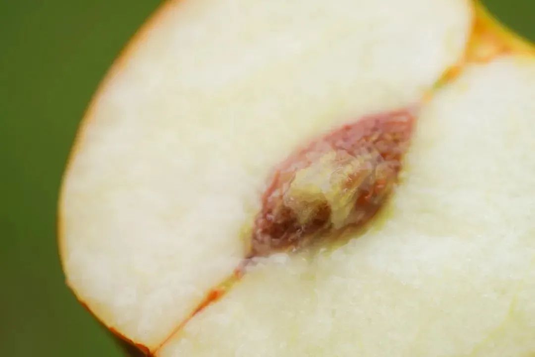 陕西人的秋天,到底有多少“诱惑”休闲区蓝鸢梦想 - Www.slyday.coM 陕西人的秋天,到底有多少“诱惑”休闲区蓝鸢梦想 - Www.slyday.coM