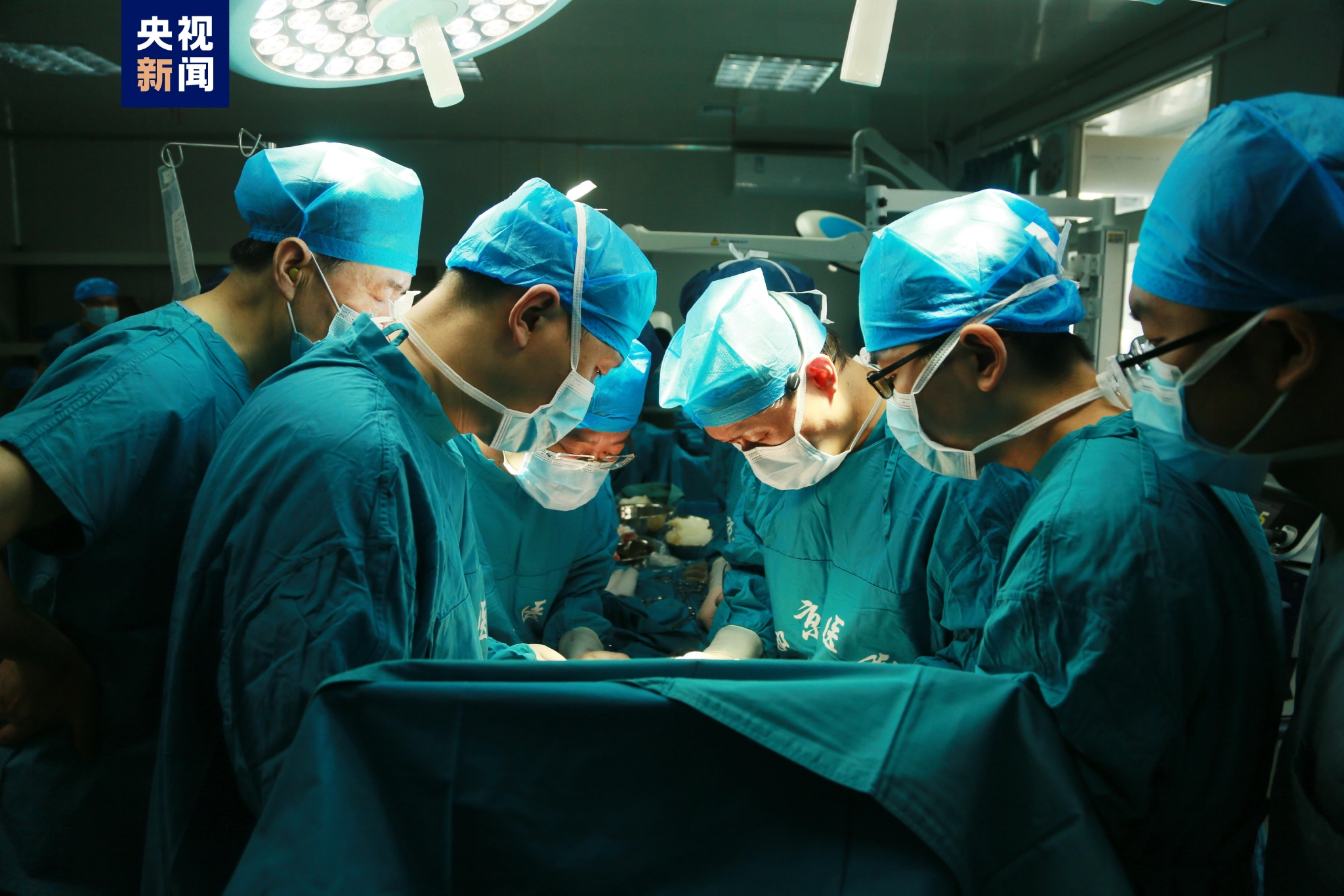 黑猩猩心脏移植女孩 狒狒心脏移植婴儿结局