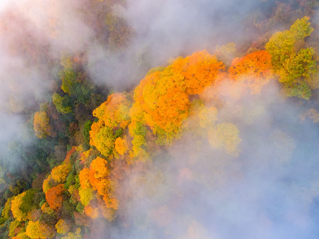 就在明天!陕西人的朋友圈将被TA刷屏休闲区蓝鸢梦想 - Www.slyday.coM 就在明天!陕西人的朋友圈将被TA刷屏休闲区蓝鸢梦想 - Www.slyday.coM