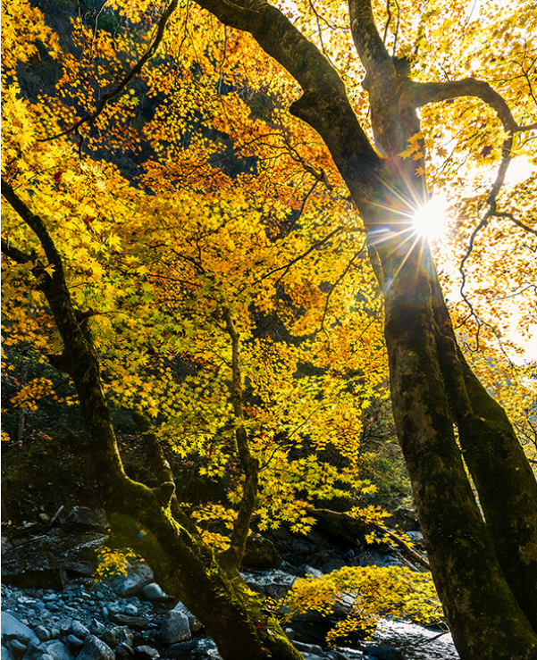 就在明天!陕西人的朋友圈将被TA刷屏休闲区蓝鸢梦想 - Www.slyday.coM 就在明天!陕西人的朋友圈将被TA刷屏休闲区蓝鸢梦想 - Www.slyday.coM