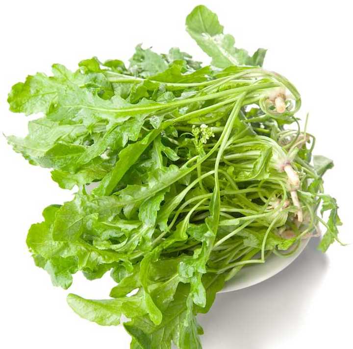 荠菜,春天的味道休闲区蓝鸢梦想 - Www.slyday.coM 荠菜,春天的味道休闲区蓝鸢梦想 - Www.slyday.coM