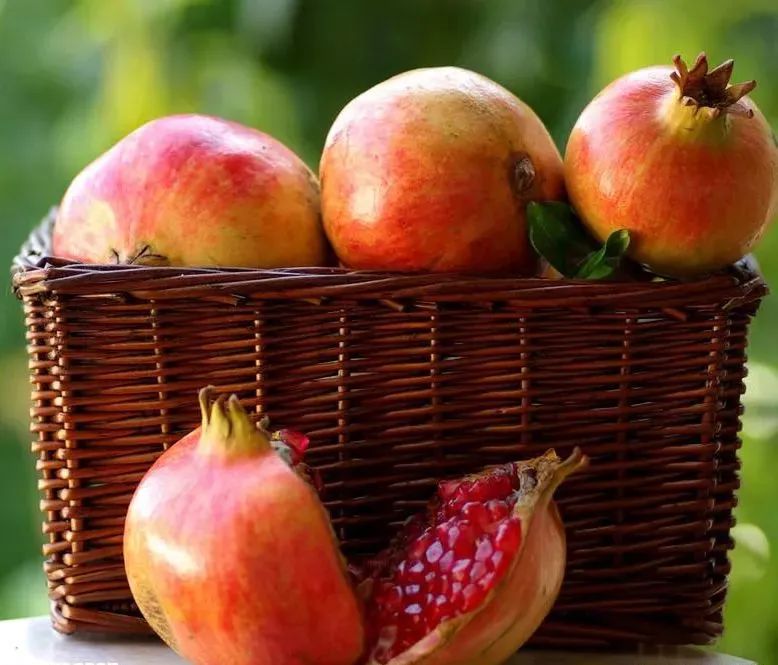 陕西人的秋天,到底有多少“诱惑”休闲区蓝鸢梦想 - Www.slyday.coM 陕西人的秋天,到底有多少“诱惑”休闲区蓝鸢梦想 - Www.slyday.coM