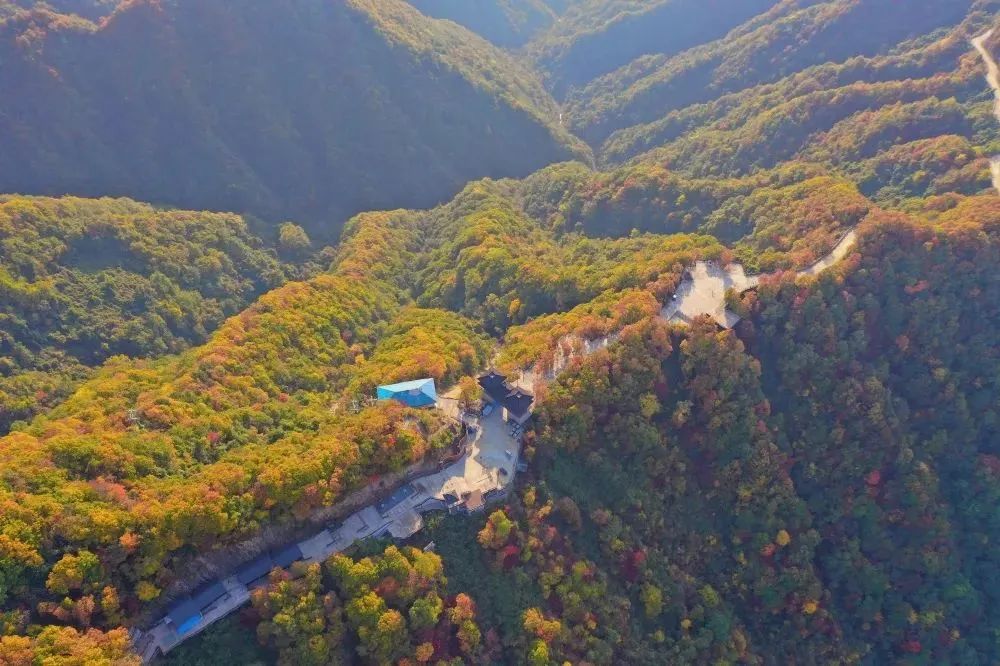 就在明天!陕西人的朋友圈将被TA刷屏休闲区蓝鸢梦想 - Www.slyday.coM 就在明天!陕西人的朋友圈将被TA刷屏休闲区蓝鸢梦想 - Www.slyday.coM