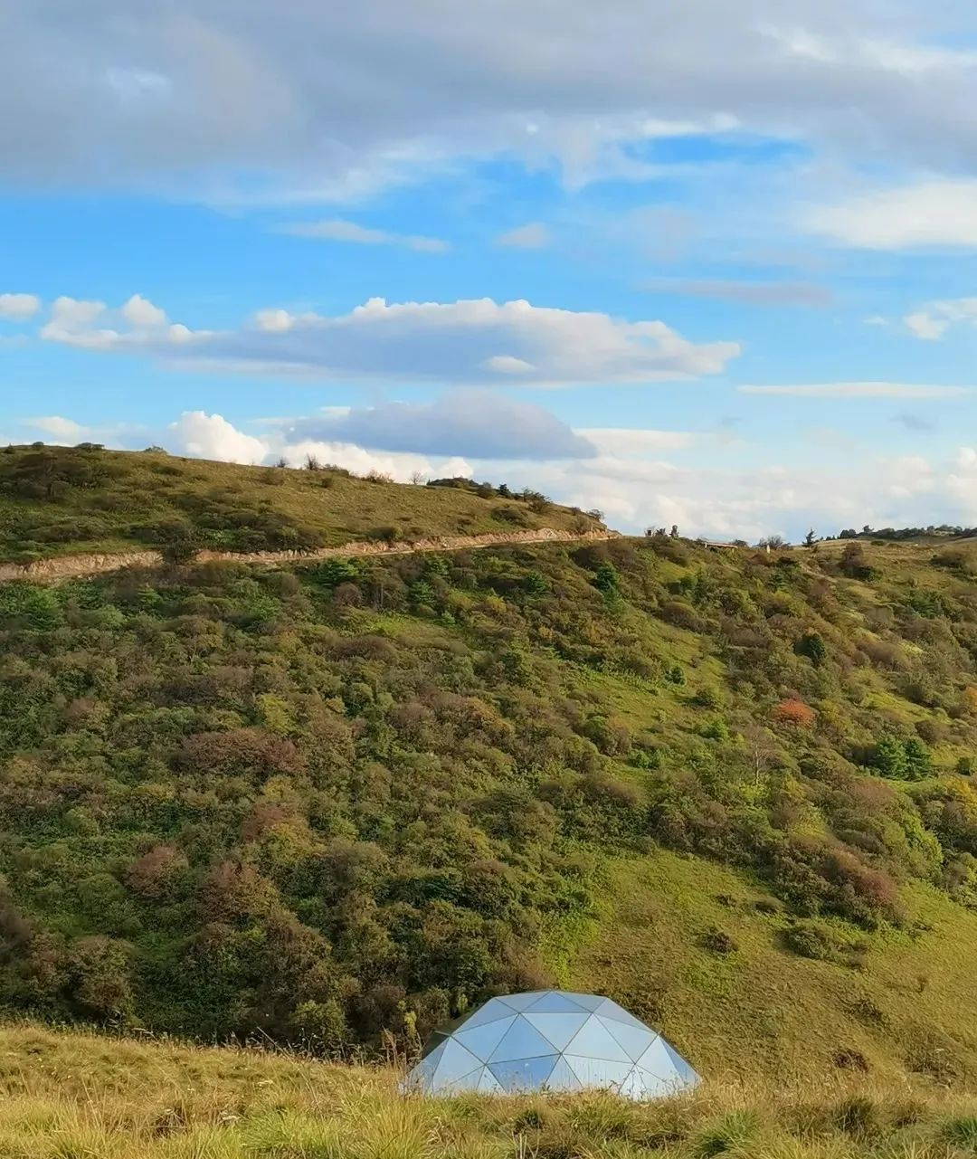 就在明天!陕西人的朋友圈将被TA刷屏休闲区蓝鸢梦想 - Www.slyday.coM 就在明天!陕西人的朋友圈将被TA刷屏休闲区蓝鸢梦想 - Www.slyday.coM