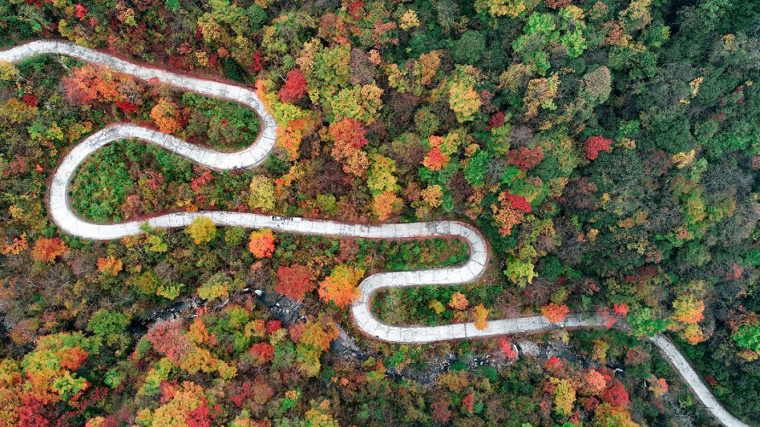 就在明天!陕西人的朋友圈将被TA刷屏休闲区蓝鸢梦想 - Www.slyday.coM 就在明天!陕西人的朋友圈将被TA刷屏休闲区蓝鸢梦想 - Www.slyday.coM