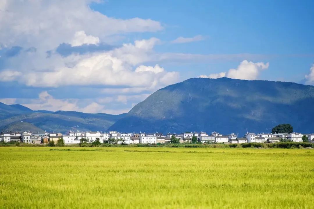 那些卖房子去大理的人,还是躺不平休闲区蓝鸢梦想 - Www.slyday.coM 那些卖房子去大理的人,还是躺不平休闲区蓝鸢梦想 - Www.slyday.coM