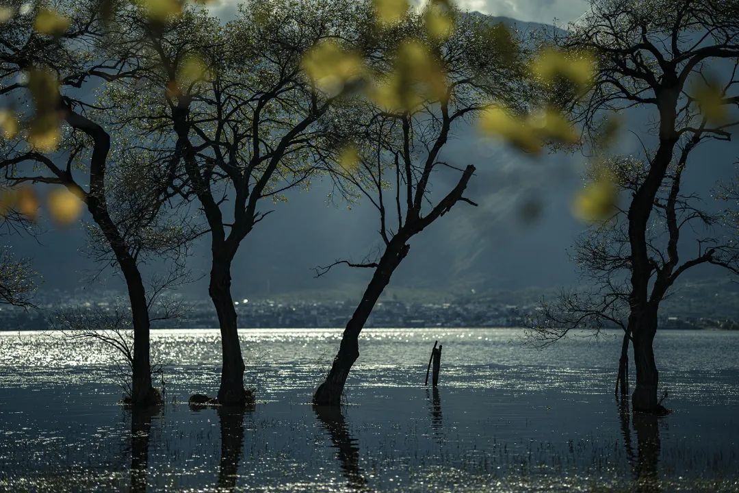 那些卖房子去大理的人,还是躺不平休闲区蓝鸢梦想 - Www.slyday.coM 那些卖房子去大理的人,还是躺不平休闲区蓝鸢梦想 - Www.slyday.coM