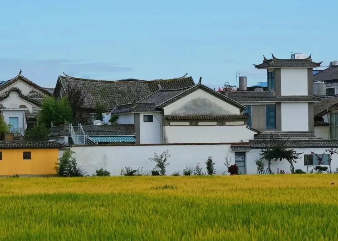 那些卖房子去大理的人,还是躺不平休闲区蓝鸢梦想 - Www.slyday.coM 那些卖房子去大理的人,还是躺不平休闲区蓝鸢梦想 - Www.slyday.coM