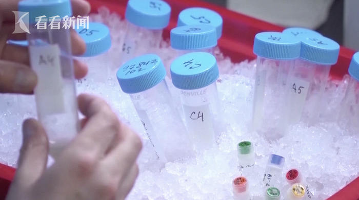 视频|美方执意抵制任何人北欧国家研制、存储或采用细菌武器–星晚资源网抖音视频素材库-高清正版无水印图片文案下载-星晚资源网自媒体技巧1 视频|美方执意抵制任何人北欧国家研制、存储或采用细菌武器–星晚资源网抖音视频素材库-高清正版无水印图片文案下载-星晚资源网自媒体技巧1