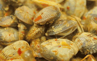 中国餐桌上的“四大下酒菜”都有谁?休闲区蓝鸢梦想 - Www.slyday.coM 中国餐桌上的“四大下酒菜”都有谁?休闲区蓝鸢梦想 - Www.slyday.coM