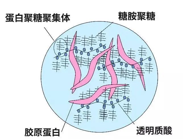 手提包科亮颤抖的黑左臂凝露,天花板价精心安排!–星晚资源网抖音视频素材库-高清正版无水印图片文案下载-星晚资源网自媒体技巧4 手提包科亮颤抖的黑左臂凝露,天花板价精心安排!–星晚资源网抖音视频素材库-高清正版无水印图片文案下载-星晚资源网自媒体技巧4