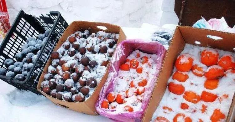 东北的早市VS南方的夜市,你站谁赢?休闲区蓝鸢梦想 - Www.slyday.coM 东北的早市VS南方的夜市,你站谁赢?休闲区蓝鸢梦想 - Www.slyday.coM