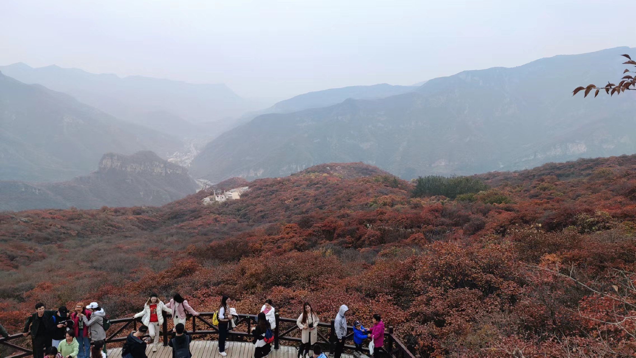 坡峰岭红叶最佳观赏时间 0b89-7fcb5a31557dd5eff5dd14d37eb58079.jpg