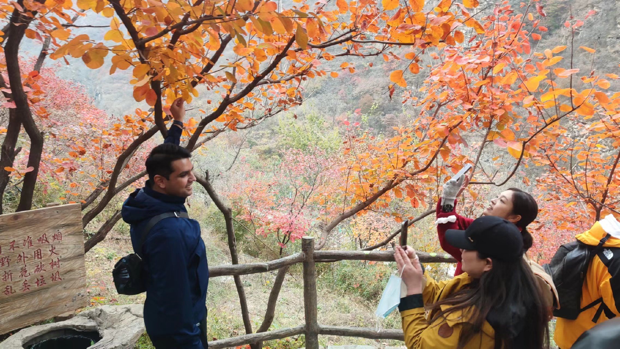 坡峰岭红叶最佳观赏期视频 58aa-02a1c855903a34c28dcf5d2705fa3ca4.jpg