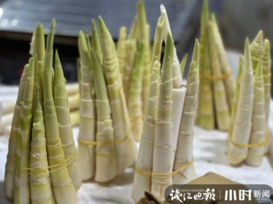 杭州人一提起就流口水的“二冬”上市,就是有点贵,两根就要50多!休闲区蓝鸢梦想 - Www.slyday.coM 杭州人一提起就流口水的“二冬”上市,就是有点贵,两根就要50多!休闲区蓝鸢梦想 - Www.slyday.coM