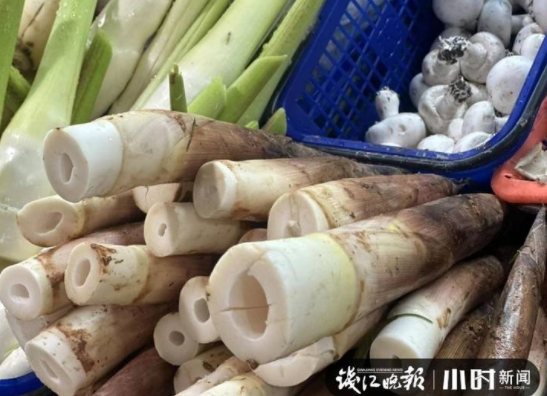 杭州人一提起就流口水的“二冬”上市,就是有点贵,两根就要50多!休闲区蓝鸢梦想 - Www.slyday.coM 杭州人一提起就流口水的“二冬”上市,就是有点贵,两根就要50多!休闲区蓝鸢梦想 - Www.slyday.coM