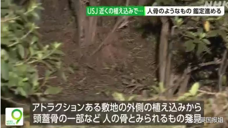 真“万圣节”!日本环球影城惊现多块人类尸骨,已死2年!网友:柯南剧情...休闲区蓝鸢梦想 - Www.slyday.coM 真“万圣节”!日本环球影城惊现多块人类尸骨,已死2年!网友:柯南剧情...休闲区蓝鸢梦想 - Www.slyday.coM