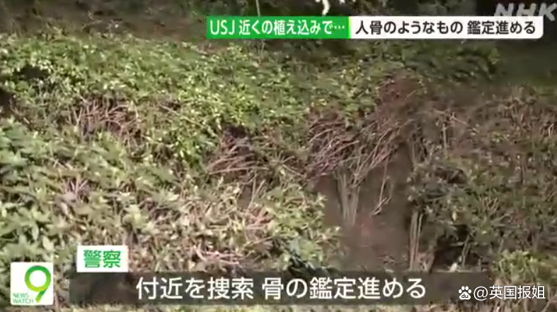 真“万圣节”!日本环球影城惊现多块人类尸骨,已死2年!网友:柯南剧情...休闲区蓝鸢梦想 - Www.slyday.coM 真“万圣节”!日本环球影城惊现多块人类尸骨,已死2年!网友:柯南剧情...休闲区蓝鸢梦想 - Www.slyday.coM