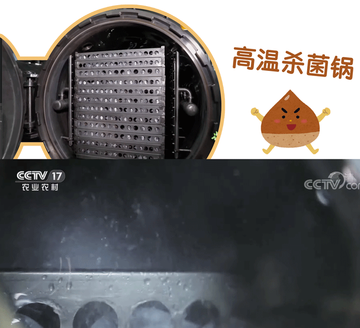 上海人秋天最爱的美食!加那么多糖的原因居然是这个→休闲区蓝鸢梦想 - Www.slyday.coM 上海人秋天最爱的美食!加那么多糖的原因居然是这个→休闲区蓝鸢梦想 - Www.slyday.coM