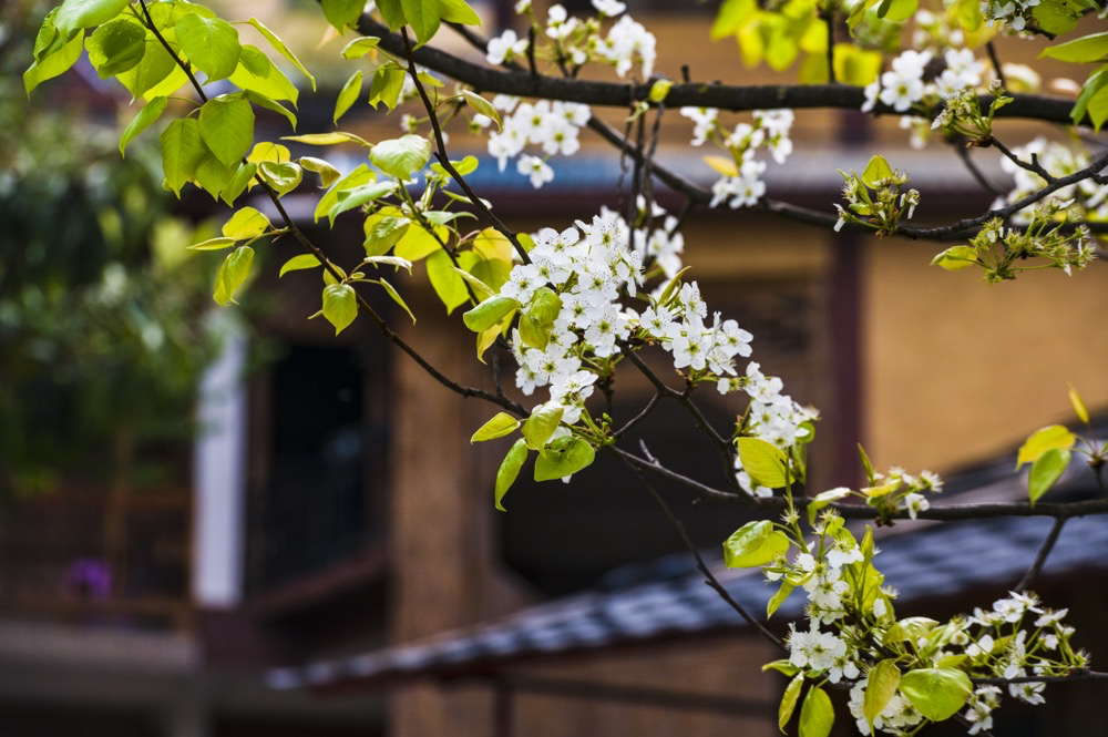 一起去打卡!福贡老姆登村入选全国乡村旅游重点村休闲区蓝鸢梦想 - Www.slyday.coM 一起去打卡!福贡老姆登村入选全国乡村旅游重点村休闲区蓝鸢梦想 - Www.slyday.coM