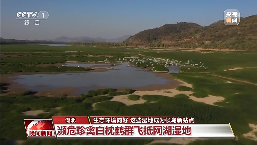 黄石又上央视!这次是因为…休闲区蓝鸢梦想 - Www.slyday.coM 黄石又上央视!这次是因为…休闲区蓝鸢梦想 - Www.slyday.coM