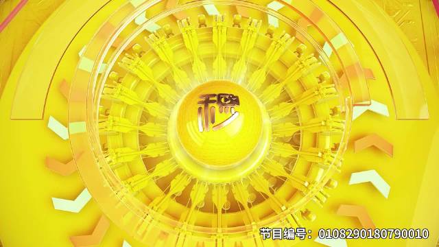 星瑞和思域怎么选？不在4S店保养靠谱吗？|有问必答