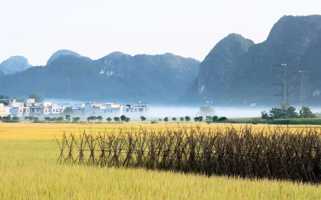 【2022广西文旅发展大会】来吧,到崇左赴一场稻田丰收的约会!休闲区蓝鸢梦想 - Www.slyday.coM 【2022广西文旅发展大会】来吧,到崇左赴一场稻田丰收的约会!休闲区蓝鸢梦想 - Www.slyday.coM