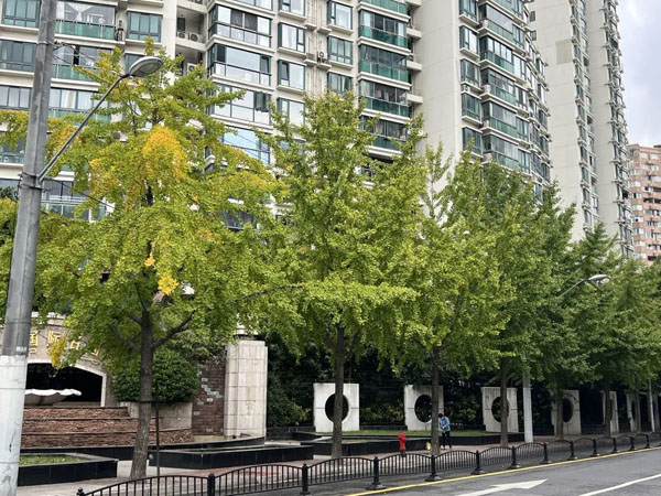 开始变色了!你准备好迎接秋日最美的“小精灵”了吗?休闲区蓝鸢梦想 - Www.slyday.coM 开始变色了!你准备好迎接秋日最美的“小精灵”了吗?休闲区蓝鸢梦想 - Www.slyday.coM