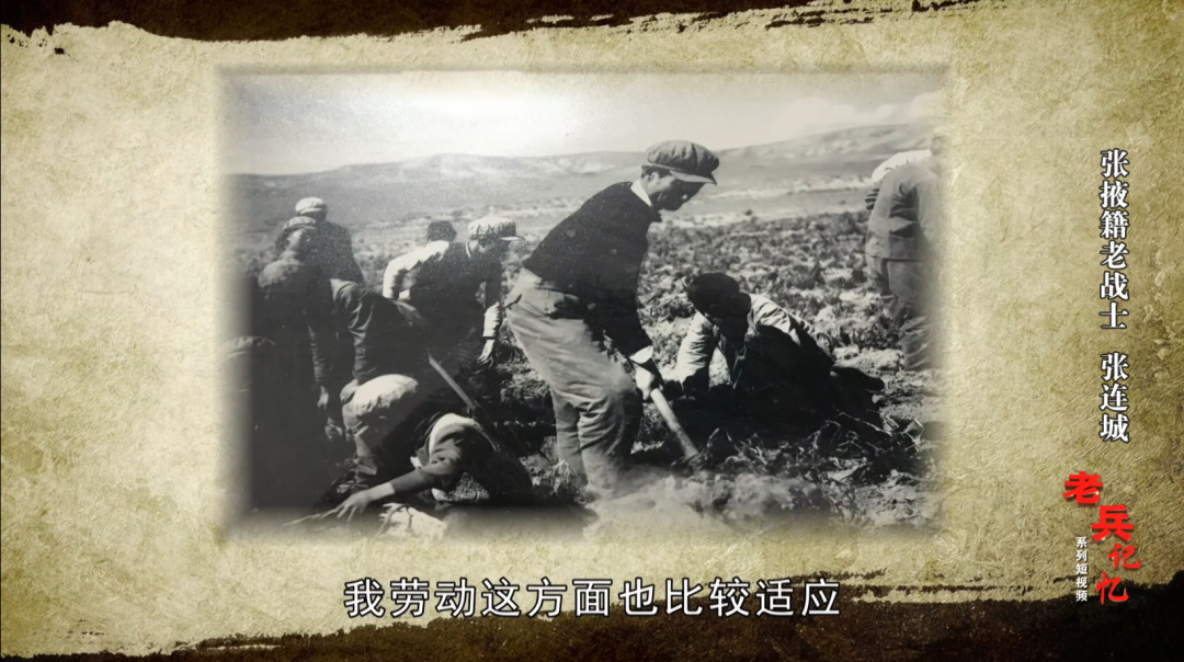 【下集】系列产品短视频《退伍军人梦境》第五集:武威籍退伍军人张凌云–星晚资源网抖音视频素材库-高清正版无水印图片文案下载-星晚资源网自媒体技巧4 【下集】系列产品短视频《退伍军人梦境》第五集:武威籍退伍军人张凌云–星晚资源网抖音视频素材库-高清正版无水印图片文案下载-星晚资源网自媒体技巧4