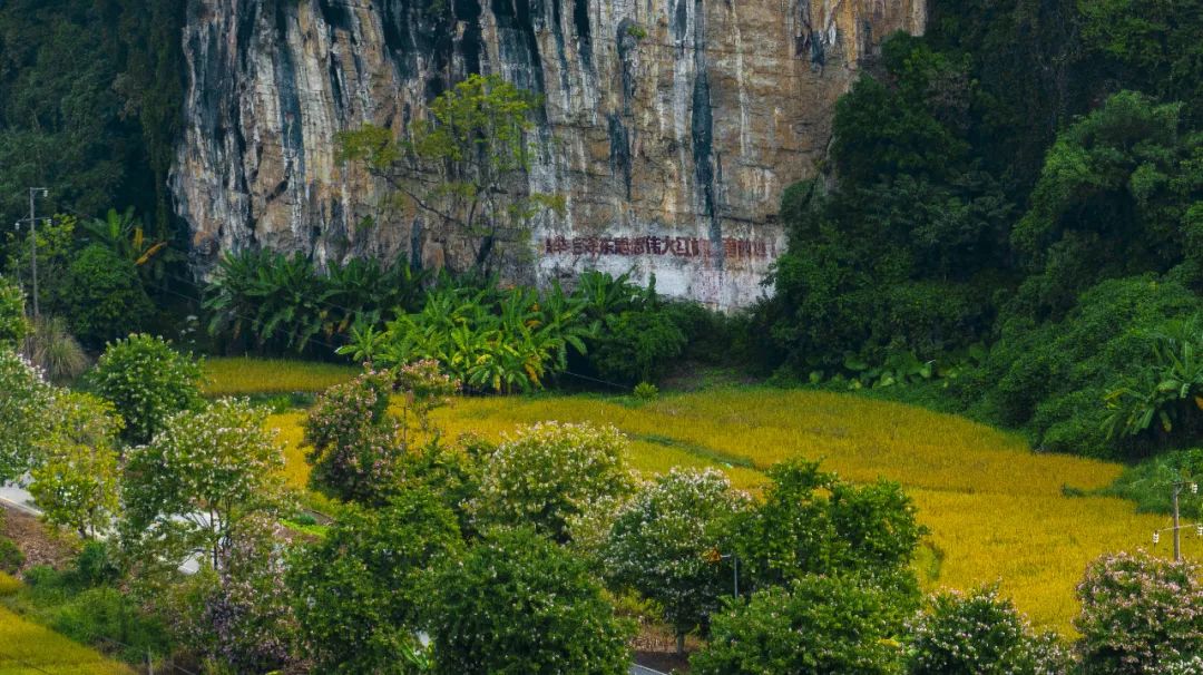 【2022广西文旅发展大会】来吧,到崇左赴一场稻田丰收的约会!休闲区蓝鸢梦想 - Www.slyday.coM 【2022广西文旅发展大会】来吧,到崇左赴一场稻田丰收的约会!休闲区蓝鸢梦想 - Www.slyday.coM
