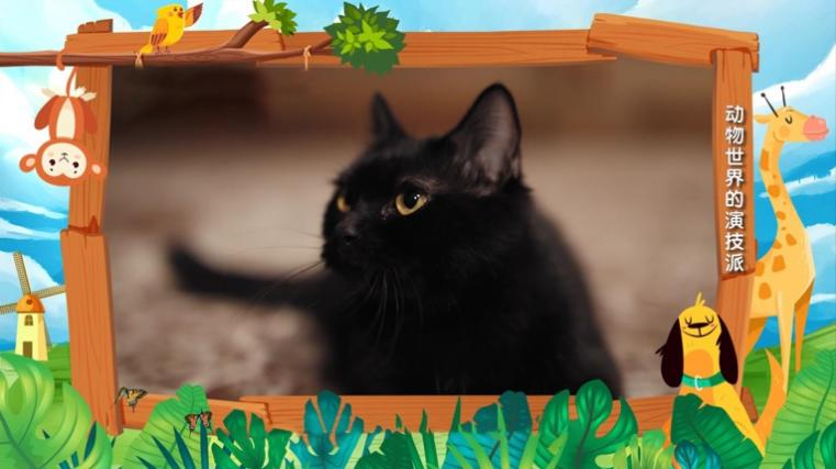 今晚《哈喽伙计》休闲区蓝鸢梦想 - Www.slyday.coM 今晚《哈喽伙计》休闲区蓝鸢梦想 - Www.slyday.coM