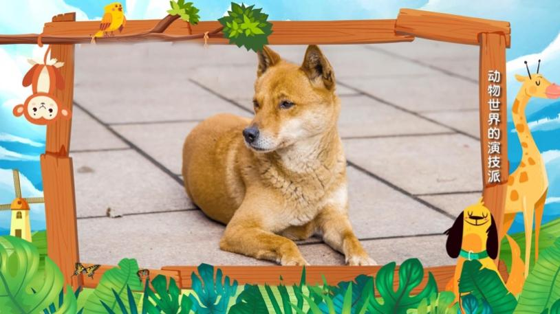 今晚《哈喽伙计》休闲区蓝鸢梦想 - Www.slyday.coM 今晚《哈喽伙计》休闲区蓝鸢梦想 - Www.slyday.coM