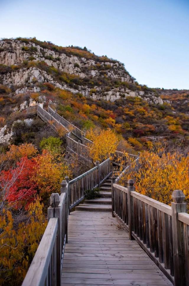 秋意正浓,来一场与秋天的约会吧休闲区蓝鸢梦想 - Www.slyday.coM 秋意正浓,来一场与秋天的约会吧休闲区蓝鸢梦想 - Www.slyday.coM